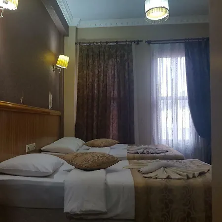 Hotel Mega Star Beyazit Hotel *
