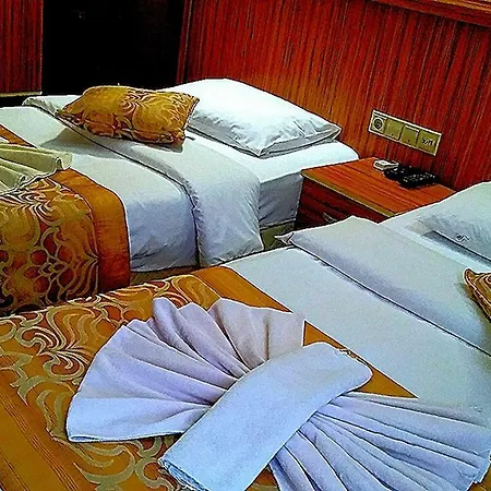 Hotel Hotel Mega Star Beyazit *