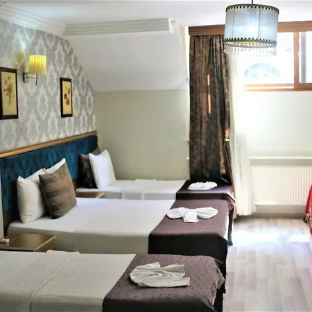 Hotel Mega Star Beyazit *