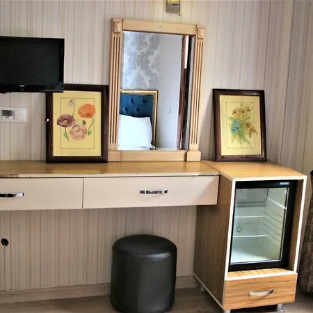 Hotel Hotel Mega Star Beyazit *